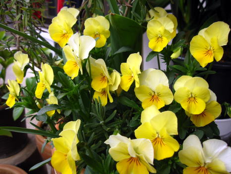 c0147952_20353029.jpg
