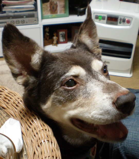 d0006253_1257817.jpg