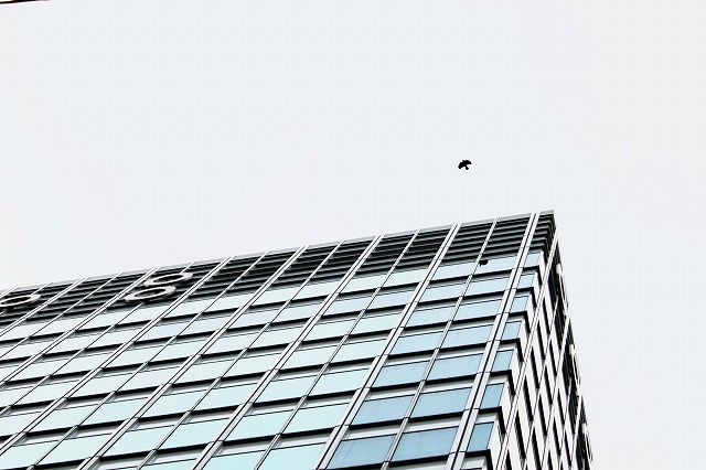 a0188456_0182661.jpg