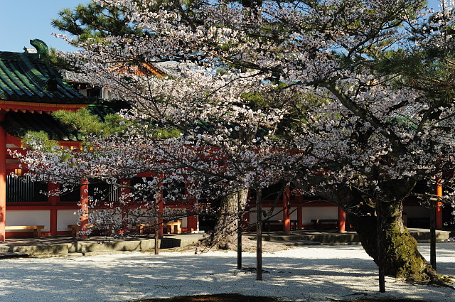 f0222161_20563719.jpg