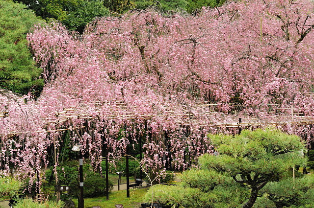 f0222161_2057215.jpg