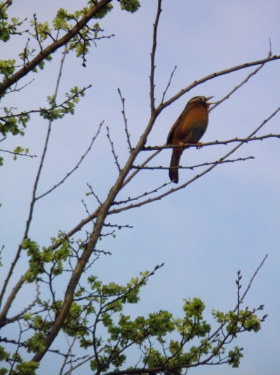 c0122670_15121120.jpg