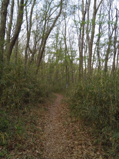 c0122670_15131022.jpg