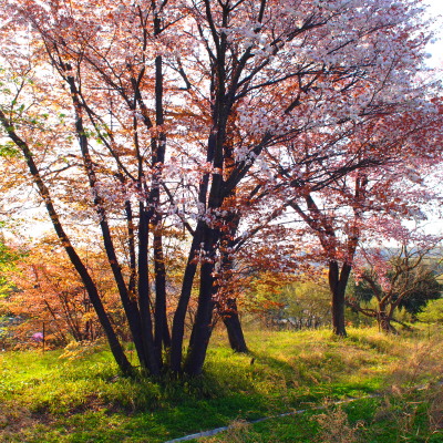 c0122670_15181617.jpg