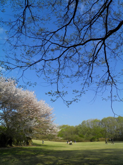 c0122670_1518260.jpg