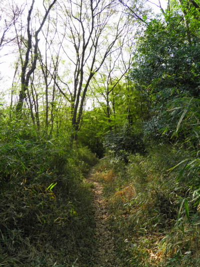 c0122670_15185326.jpg
