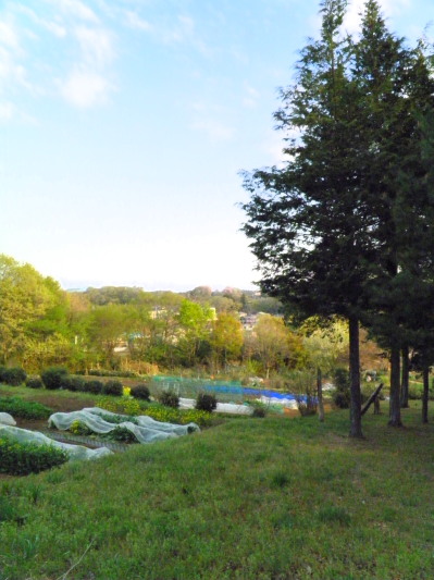 c0122670_17462679.jpg