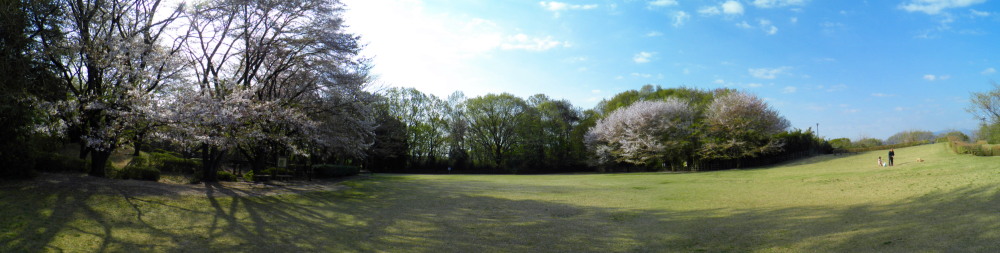 c0122670_17471737.jpg