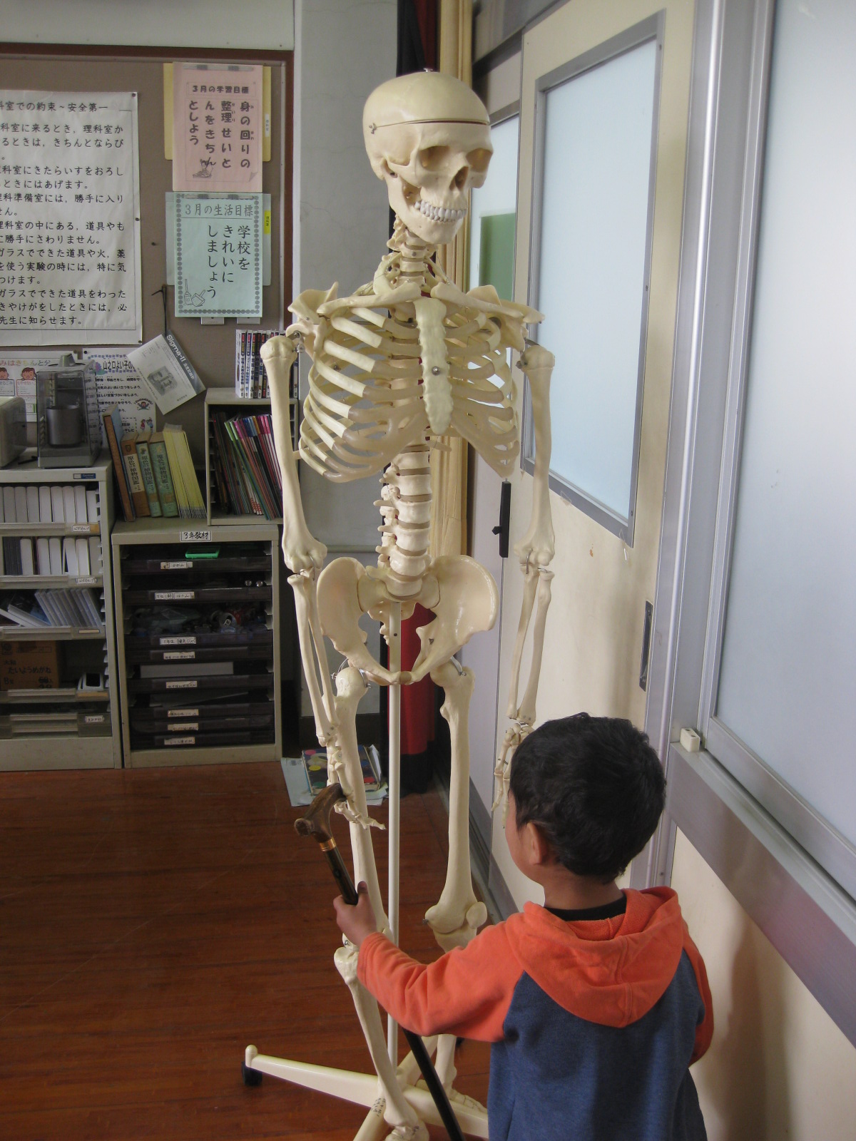 画像 【衝撃】理科室の骨格標本が、なんと校長先生のものだった... NAVER まとめ