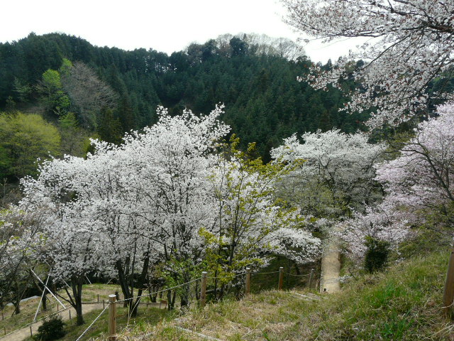 e0145782_1832945.jpg