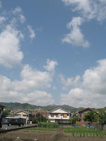 e0130185_135980.jpg