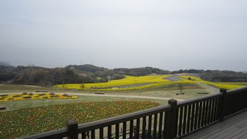 f0053885_2124390.jpg