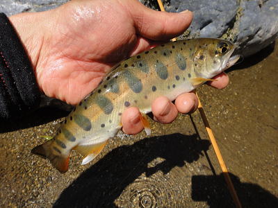 f0141392_873467.jpg