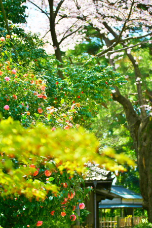 d0133693_11223158.jpg