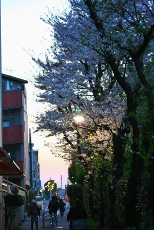 d0133693_1221978.jpg