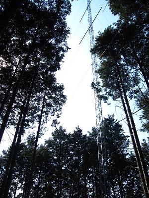 c0118495_012498.jpg