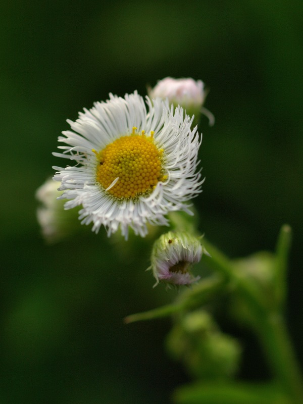 f0224100_032223.jpg