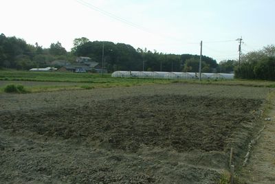 c0218303_20512445.jpg