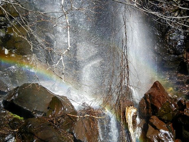 b0187505_1817409.jpg