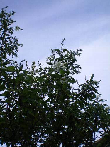 f0206605_22471342.jpg