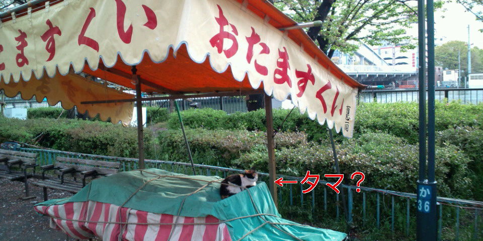 f0219810_22182795.jpg