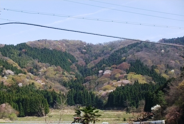 d0007913_0525868.jpg