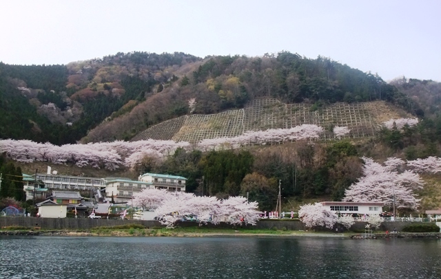 d0007913_0551987.jpg