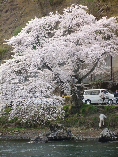 d0007913_05546.jpg