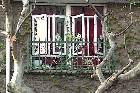 e0157816_16234919.jpg