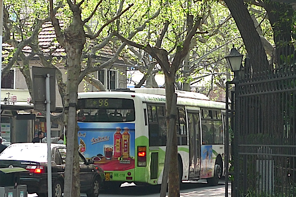 e0157816_1641595.jpg