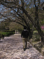 e0195721_9362173.jpg