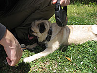 e0195721_9362420.jpg