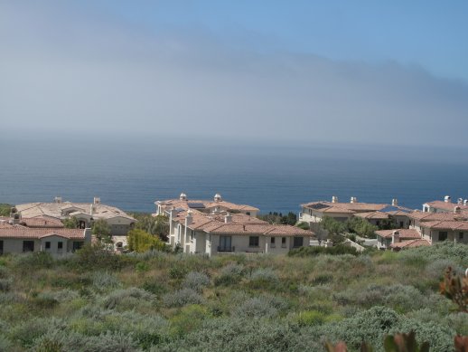 b0176023_144744.jpg