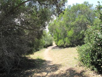 b0176023_1505777.jpg