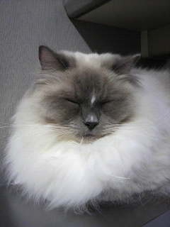 f0106823_10145524.jpg