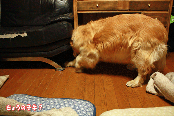 f0203423_2030852.gif