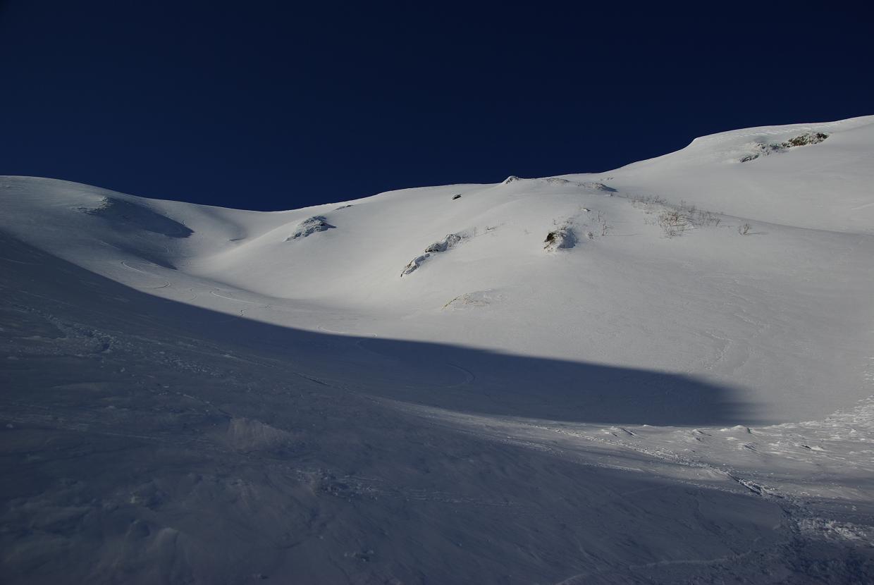 b0062024_736363.jpg