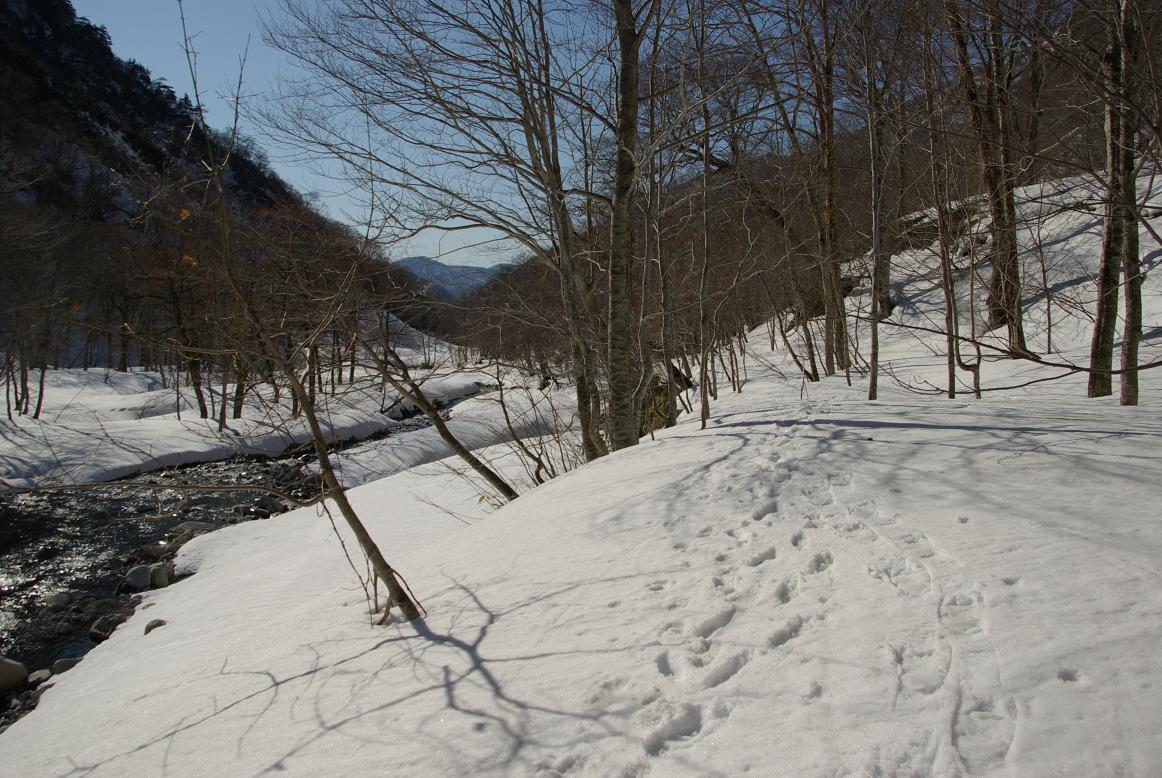 b0062024_7493484.jpg