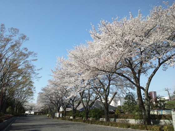 b0199924_7451479.jpg