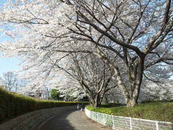b0199924_7502663.jpg
