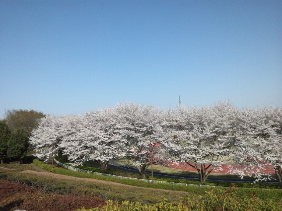 b0199924_7511269.jpg