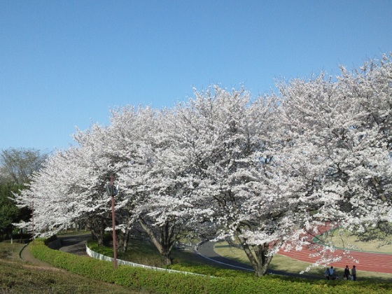 b0199924_7521926.jpg