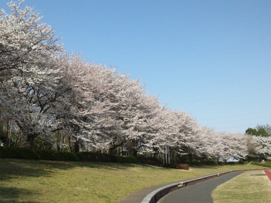 b0199924_801011.jpg