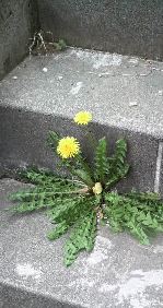 f0107724_2227763.jpg