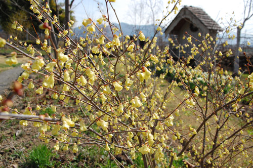 c0107129_3175952.jpg