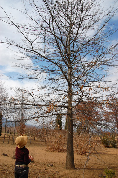 c0107129_32549.jpg