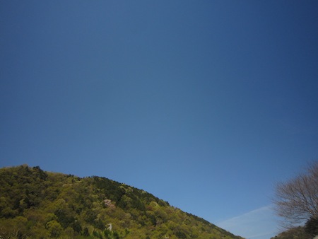 d0040729_22163040.jpg