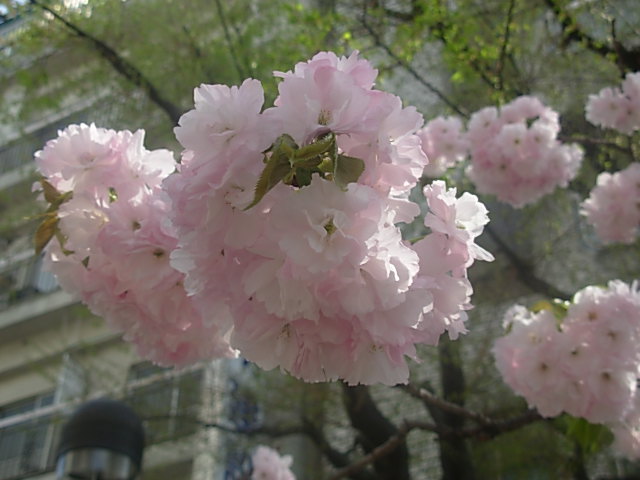 b0185330_0274388.jpg