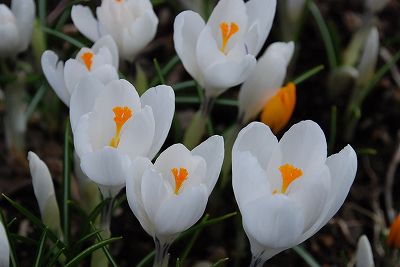 a0177032_1514199.jpg
