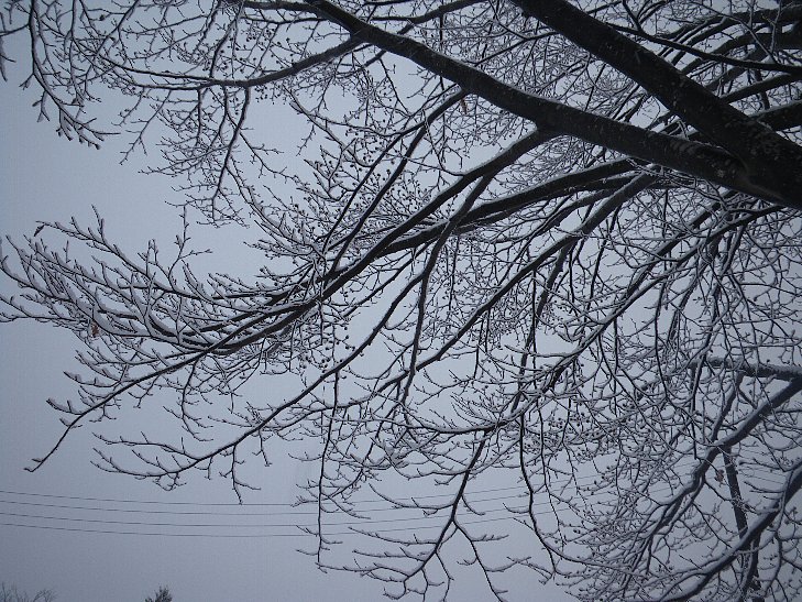 f0118332_2143101.jpg